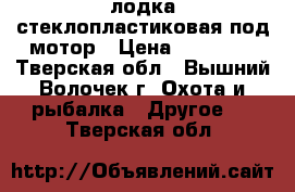 лодка стеклопластиковая под мотор › Цена ­ 25 000 - Тверская обл., Вышний Волочек г. Охота и рыбалка » Другое   . Тверская обл.